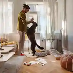 Воздухоочиститель Karcher AF 50