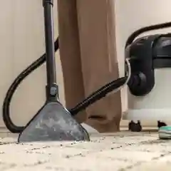 Моющий пылесос Karcher SE 4 Plus