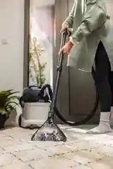 Моющий пылесос Karcher SE 5