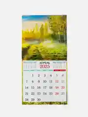 Бронзовый большой.перекидной настенный календарь на скрепке на 2025 год. более 20 видов