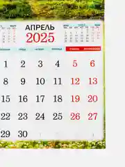 Бронзовый большой.перекидной настенный календарь на скрепке на 2025 год. более 20 видов