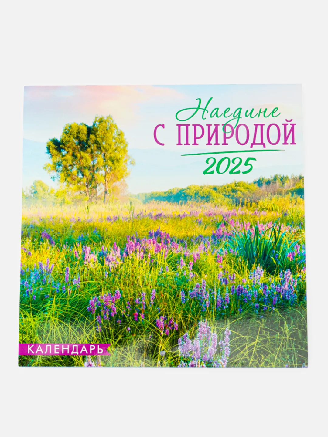 Вишнёвый большой.перекидной настенный календарь на скрепке на 2025 год. более 20 видов