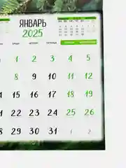 Горчичный большой.перекидной настенный календарь на скрепке на 2025 год. более 20 видов
