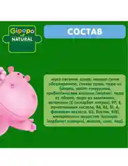 Каша овсяная GIPOPO молочная, с бананом, яблоком и земляникой, с 6 месяцев,  170 г