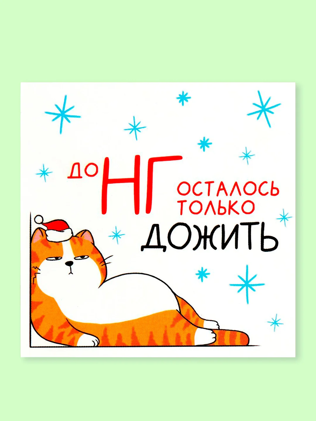 Лесной зеленый новогодние открытки с котиками, набор открыток с котами, открытка в Новый год, котоподарок