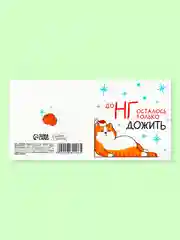 Лесной зеленый новогодние открытки с котиками, набор открыток с котами, открытка в Новый год, котоподарок