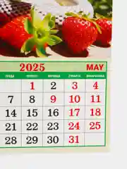 Зеленый календарь отрывной на магните 2025 (9,5*13 см)