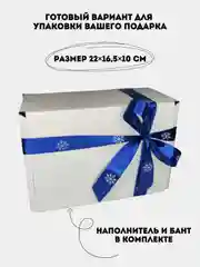Подарочная коробка, 22 х 16,5 х 10 см, с наполнителем и атласной лентой
