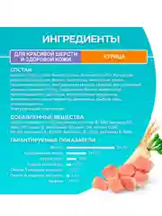 Сухой корм Purina ONE для контроля образования волосяных комков, с курицей и злаками, 750г
