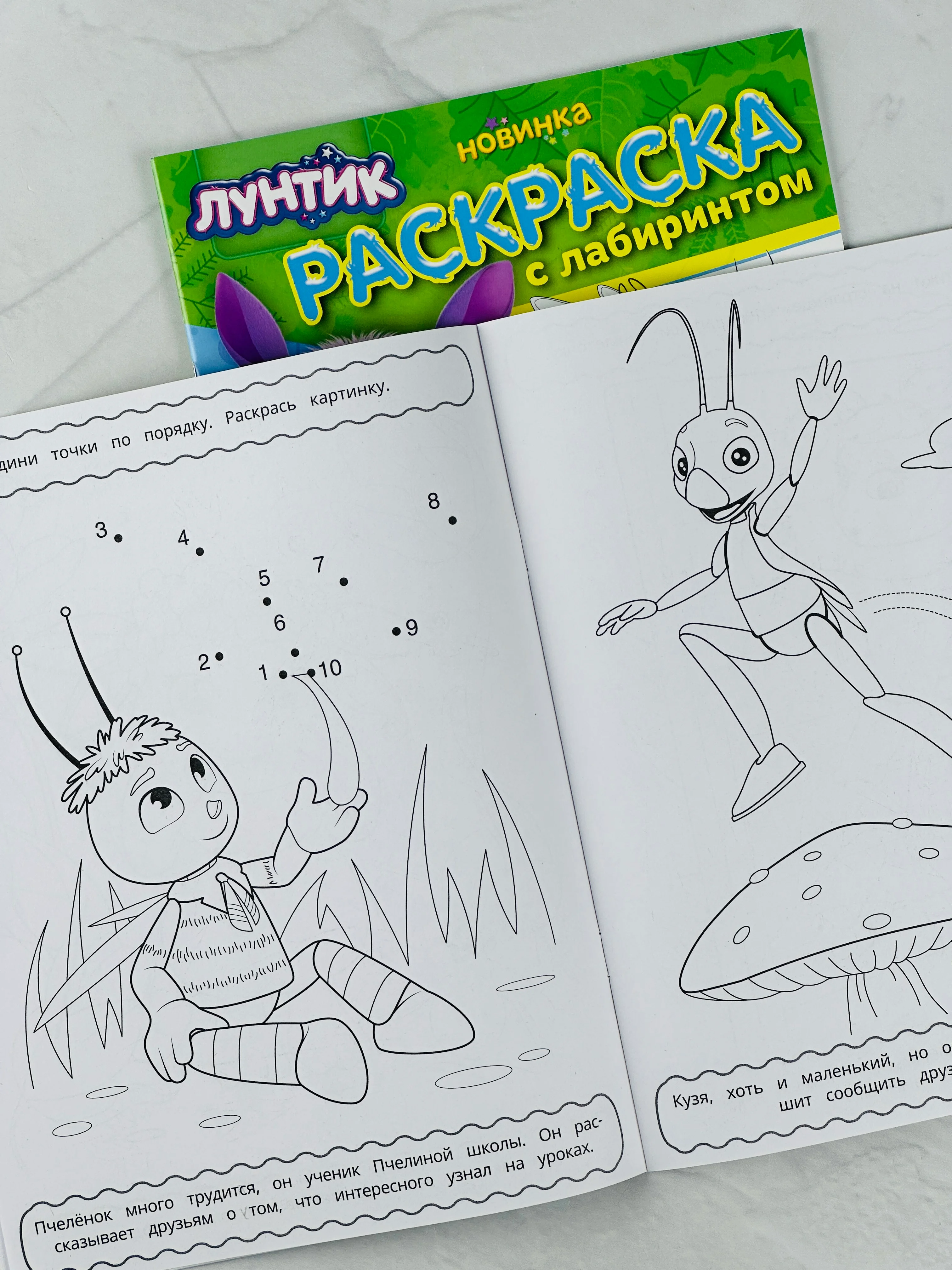 Детская книжка Лунтик Невероятные приключения Раскраска с лабиринтом для малышей мультики