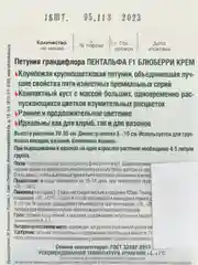 Петуния крупноцветковая Пентальфа F1 Блюберри Крем, 15шт Биотехника