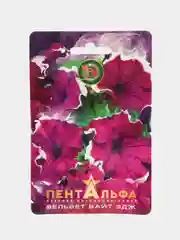 Петуния крупноцветковая Пентальфа Вельвет Вайт Эдж (семена БИОТЕХНИКА, 15 шт.)