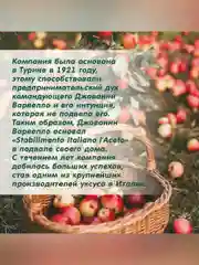 Уксус яблочный непастеризованный Sabroza, органический, c мякотью, 0,5 л