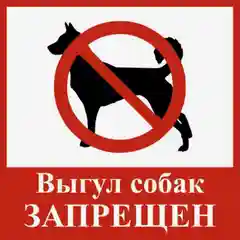 Табличка ламинированная самоклеющаяся !18х18см Выгул собак запрещен!