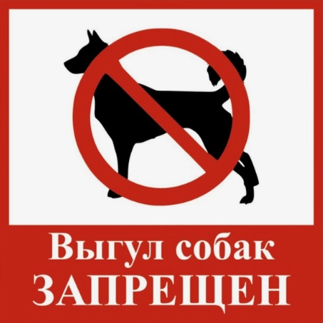 Табличка ламинированная самоклеющаяся !18х18см Выгул собак запрещен!
