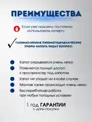 Газомасленные/Пневмогидравлические упоры капота для автомобиля Лада Гранта/Калина/Дацун