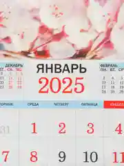 Алый большой.перекидной настенный календарь на скрепке на 2025 год. более 20 видов