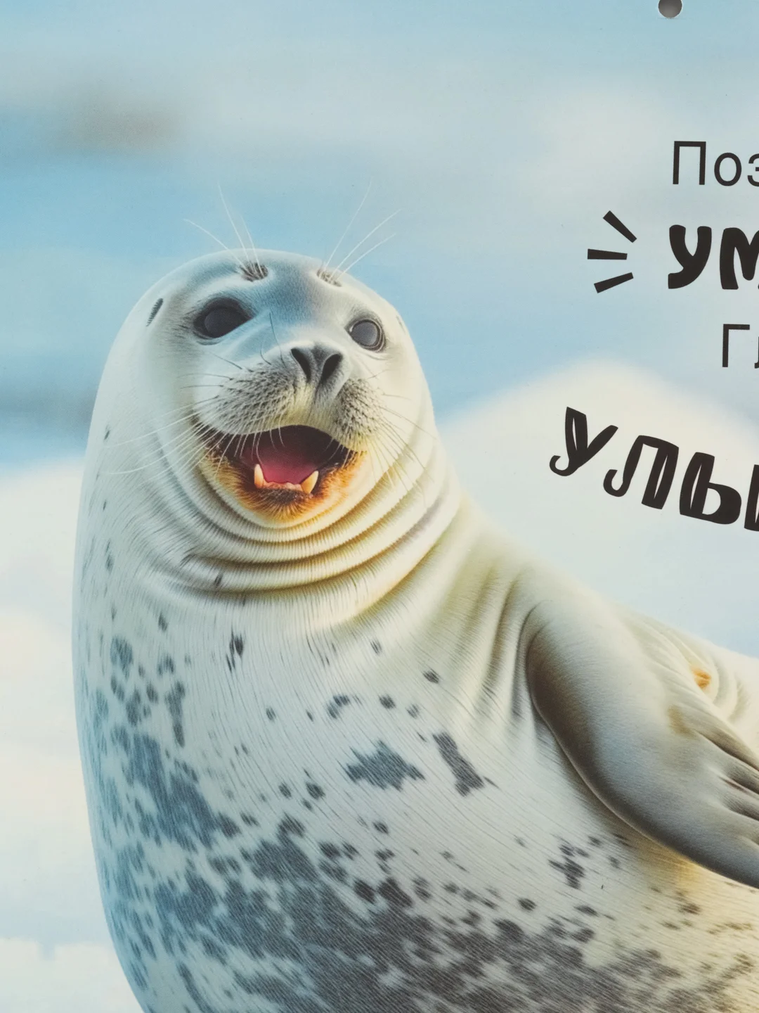 Белый большой.перекидной настенный календарь на скрепке на 2025 год. более 20 видов
