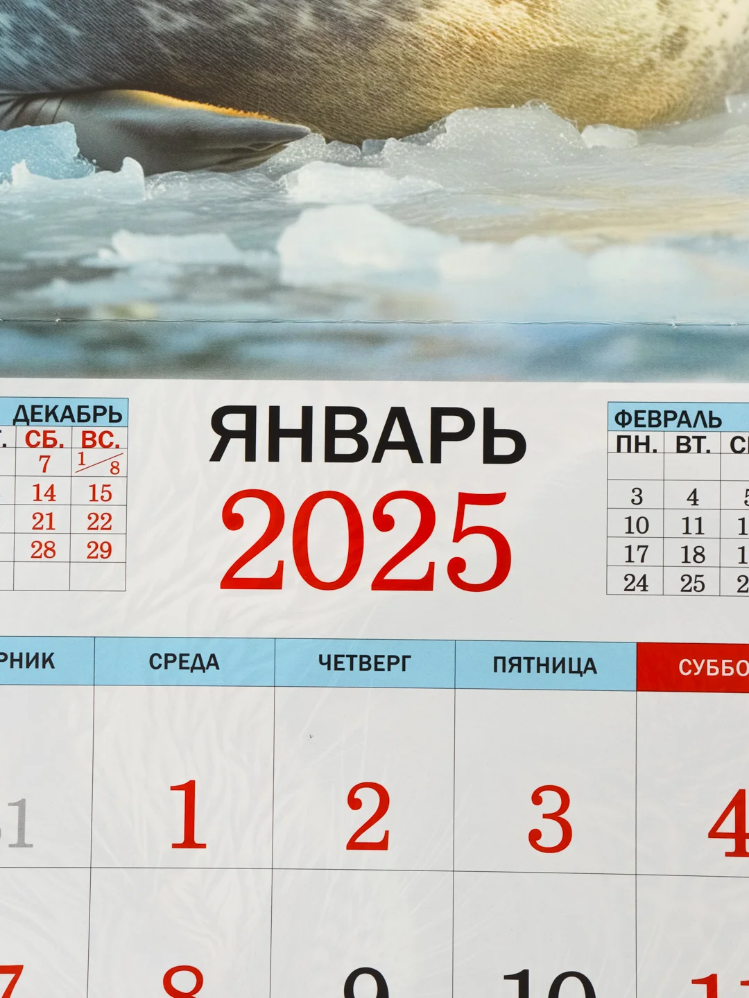 Белый большой.перекидной настенный календарь на скрепке на 2025 год. более 20 видов