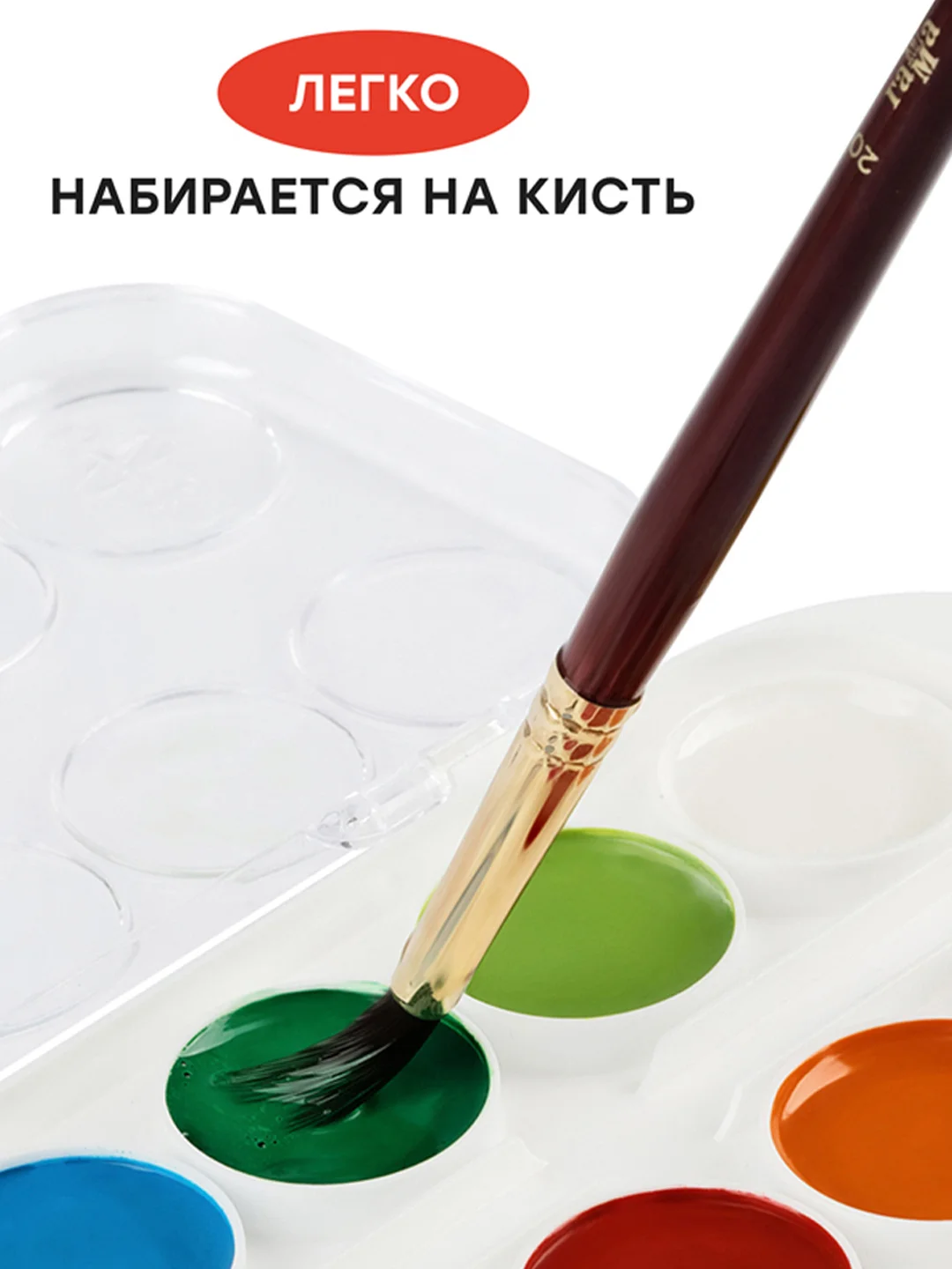 Акварель Гамма "Мультики" NEW, медовая, 12 цветов, без кисти, пластик. упак., европодвес