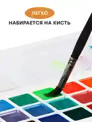 Акварель Гамма "Оранжевое солнце", медовая, 24 цветов (8 перламутр.+ 8 флуор.+ 8 классич.)