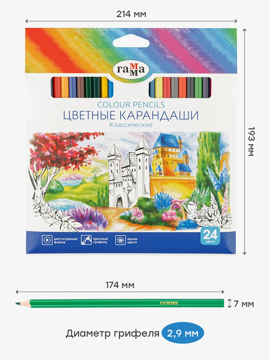 Карандаши цветные Гамма "Классические", 24цв., заточен., картон. упаковка, европодвес