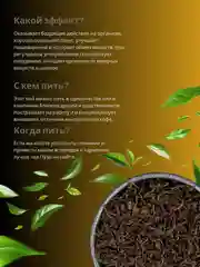 Шу Пуэр TEAON Чай Китайский Черный Листовой