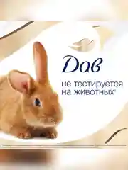 Шампунь для поврежденных волос Dove, "Интенсивное восстановление", 250 мл