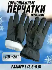 Перчатки горнолыжные, зимние, непромокаемые, мужские
