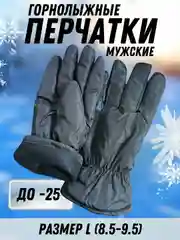 Угольный перчатки горнолыжные, зимние, непромокаемые, мужские