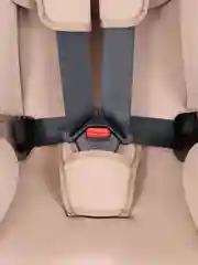 Бежевый автокресло RANT Twist pro isofix группа 0+-1-2-3 (0-36 кг)