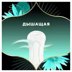 DISCREET Plus Женские гигиенические прокладки на каждый день Deo Water Lily Plus Trio 52шт