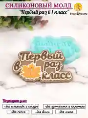 Силиконовая форма-молд "Первый раз в 1 класс"