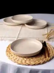 Бежевый тарелки многоразовые пластиковые