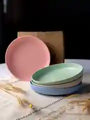 Разноцветный тарелки многоразовые пластиковые