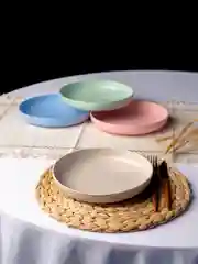 Разноцветный тарелки многоразовые пластиковые