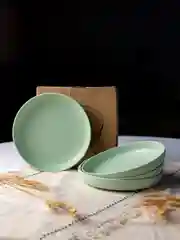 Зеленый тарелки многоразовые пластиковые