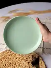 Зеленый тарелки многоразовые пластиковые