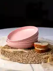 Розовый тарелки многоразовые пластиковые