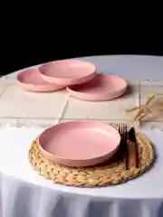 Розовый тарелки многоразовые пластиковые