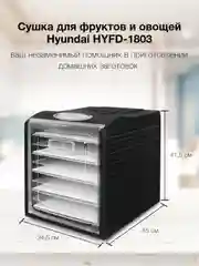Сушилка для овощей и фруктов Hyundai HYFD-1803, черный, 27 поддонов