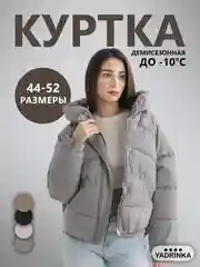 Куртка женская, осенняя, весенняя, зимняя, демисезонная с капюшоном