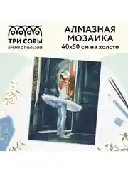 Алмазная мозаика Три совы "Трепет перед выступлением", холст, 40х50 см