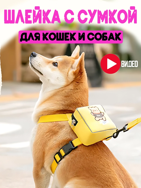 Шлейка с поводком для кошек и собак с сумкой, 3 размера