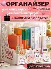 Подставка органайзер на стол  для канцелярии, книг, учебников и тетрадей