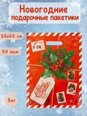 Подарочный новогодний пакет, упаковка подарков на новый год