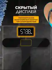 Черный весы напольные электронные Titan Electronics 05, 2 показателя, до 180 кг