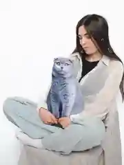 Серый мягкая подушка Кошка/Кот, реалистичная