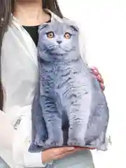 Серый мягкая подушка Кошка/Кот, реалистичная