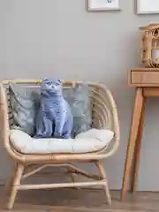 Серый мягкая подушка Кошка/Кот, реалистичная